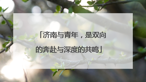 济南与青年，是双向的奔赴与深度的共鸣