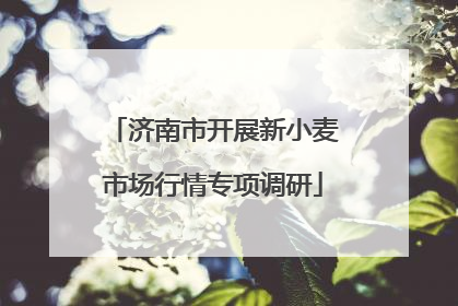 济南市开展新小麦市场行情专项调研