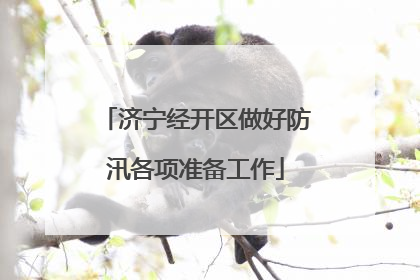 济宁经开区做好防汛各项准备工作