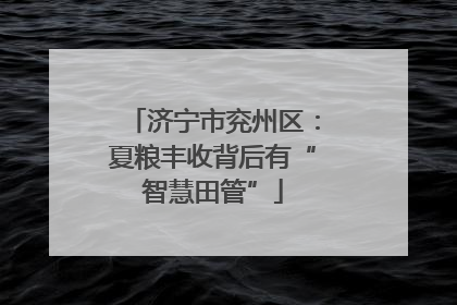 济宁市兖州区：夏粮丰收背后有“智慧田管”