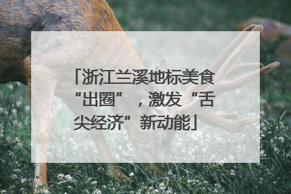 浙江兰溪地标美食“出圈”，激发“舌尖经济”新动能