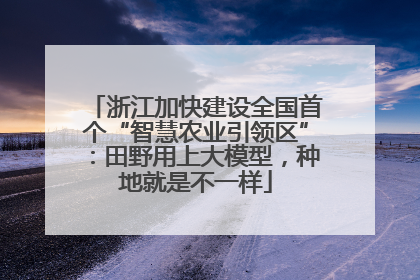 浙江加快建设全国首个“智慧农业引领区”：田野用上大模型，种地就是不一样