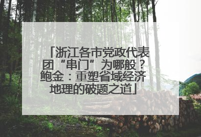 浙江各市党政代表团“串门”为哪般？鲍金：重塑省域经济地理的破题之道