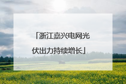 浙江嘉兴电网光伏出力持续增长