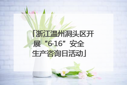 浙江温州洞头区开展“6·16”安全生产咨询日活动