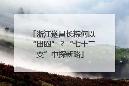 浙江遂昌长粽何以“出圈”？“七十二变”中探新路