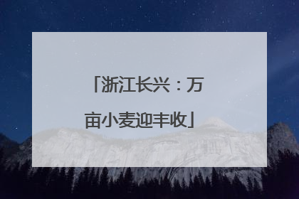 浙江长兴：万亩小麦迎丰收