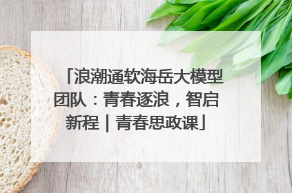 浪潮通软海岳大模型团队：青春逐浪，智启新程｜青春思政课