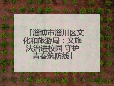 淄博市淄川区文化和旅游局：文旅法治进校园 守护青春筑防线