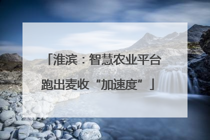 淮滨：智慧农业平台跑出麦收“加速度”