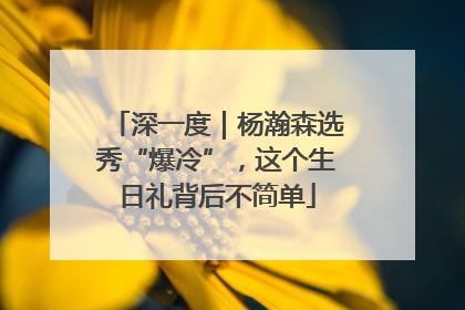 深一度｜杨瀚森选秀“爆冷”，这个生日礼背后不简单