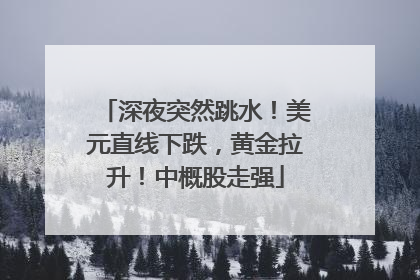深夜突然跳水！美元直线下跌，黄金拉升！中概股走强