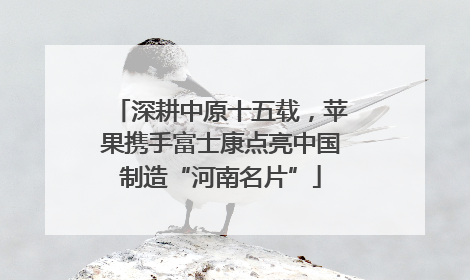 深耕中原十五载，苹果携手富士康点亮中国制造“河南名片”