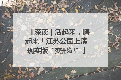 深读｜活起来，嗨起来！江苏公园上演现实版“变形记”