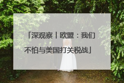深观察丨欧盟：我们不怕与美国打关税战