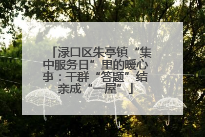 渌口区朱亭镇“集中服务日”里的暖心事：干群“答题”结亲成“一屋”