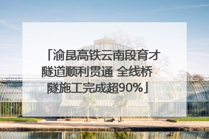 渝昆高铁云南段育才隧道顺利贯通 全线桥隧施工完成超90%