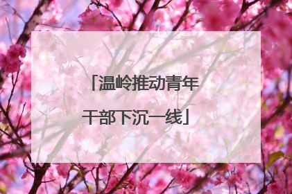 温岭推动青年干部下沉一线