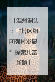 温州洞头：“片区组团强村发展”探索共富新路