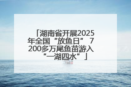 湖南省开展2025年全国“放鱼日” 7200多万尾鱼苗游入“一湖四水”