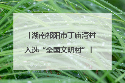 湖南祁阳市丁庙湾村入选“全国文明村”