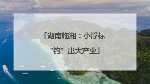 湖南临湘：小浮标“钓”出大产业