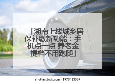 湖南上线城乡居保补缴新功能：手机点一点 养老金提档不用跑腿