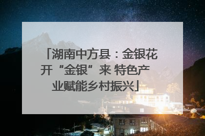 湖南中方县：金银花开“金银”来 特色产业赋能乡村振兴