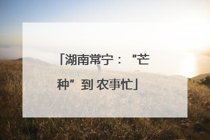 湖南常宁：“芒种”到 农事忙