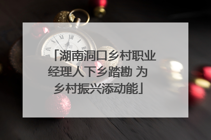 湖南洞口乡村职业经理人下乡踏勘 为乡村振兴添动能