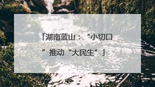 湖南蓝山：“小切口”推动“大民生”