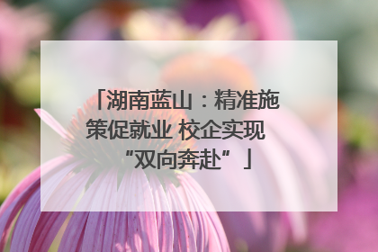 湖南蓝山：精准施策促就业 校企实现“双向奔赴”