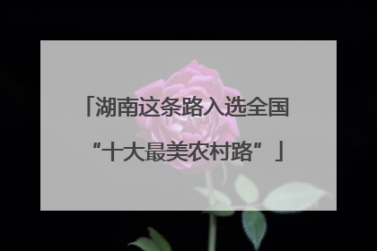 湖南这条路入选全国“十大最美农村路”