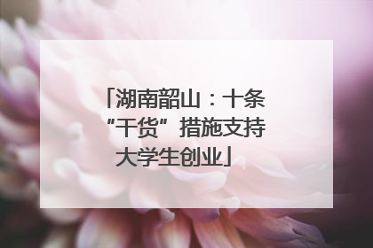 湖南韶山：十条“干货”措施支持大学生创业
