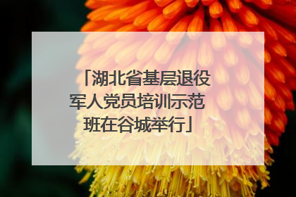 湖北省基层退役军人党员培训示范班在谷城举行