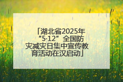 湖北省2025年“5·12”全国防灾减灾日集中宣传教育活动在汉启动
