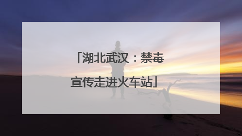 湖北武汉：禁毒宣传走进火车站