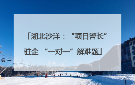 湖北沙洋：“项目警长”驻企 “一对一”解难题