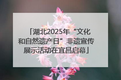 湖北2025年“文化和自然遗产日”非遗宣传展示活动在宜昌启幕