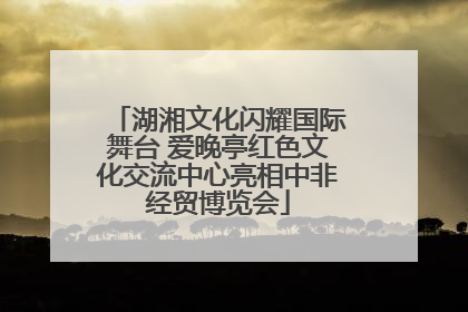 湖湘文化闪耀国际舞台 爱晚亭红色文化交流中心亮相中非经贸博览会