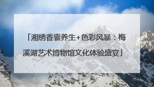 湘绣香囊养生+色彩风暴：梅溪湖艺术博物馆文化体验盛宴
