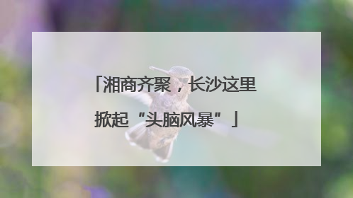 湘商齐聚，长沙这里掀起“头脑风暴”
