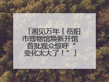 湘见万年丨岳阳市博物馆焕新开馆 首批观众惊呼“变化太大了！”