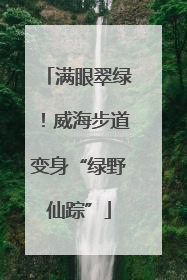 满眼翠绿！威海步道变身“绿野仙踪”