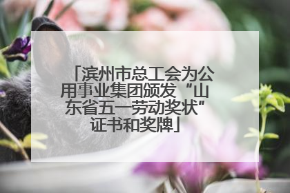 滨州市总工会为公用事业集团颁发“山东省五一劳动奖状”证书和奖牌