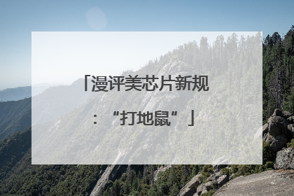 漫评美芯片新规：“打地鼠”