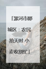 漯河市郾城区：农民抢天时 小麦收割忙