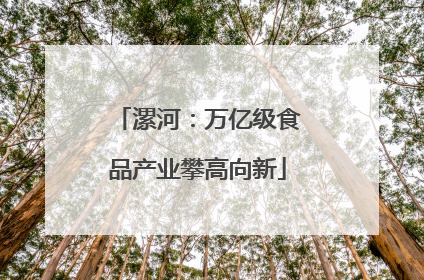 漯河：万亿级食品产业攀高向新