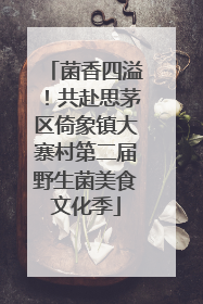菌香四溢！共赴思茅区倚象镇大寨村第二届野生菌美食文化季