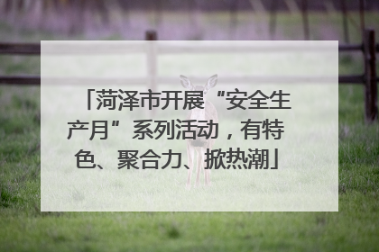 菏泽市开展“安全生产月”系列活动，有特色、聚合力、掀热潮